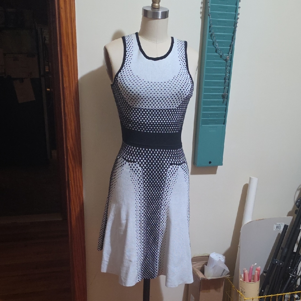 Sioni Black and White Polka-Dot Fit & Flare Mini Dress